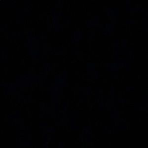 Meet your Posher, Hennah